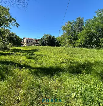 Foto annuncio 49