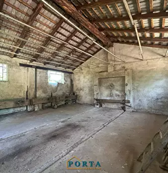 Foto annuncio 44