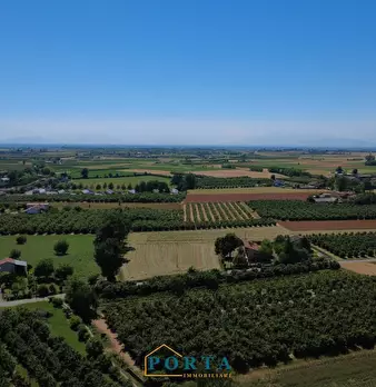 Foto annuncio 5