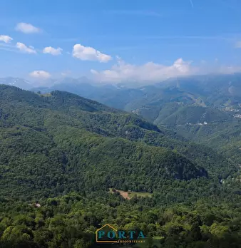 Foto annuncio 2