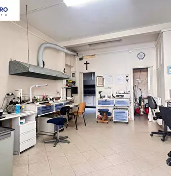 Foto annuncio 10