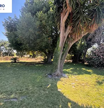 Foto annuncio 13