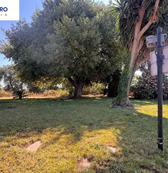 Foto annuncio 14