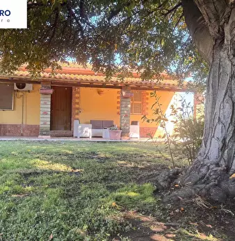 Foto annuncio 23