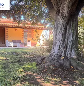 Foto annuncio 24