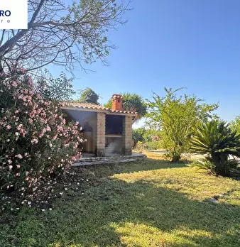Foto annuncio 26