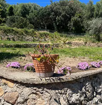 Foto annuncio 30