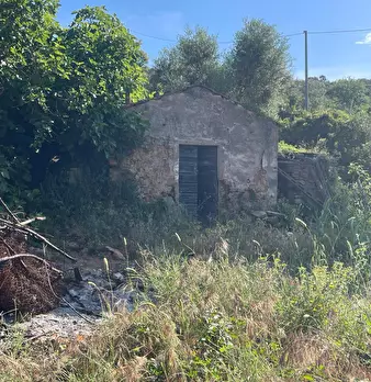 Foto annuncio 2