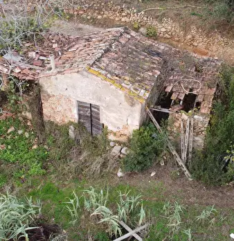 Foto annuncio 3