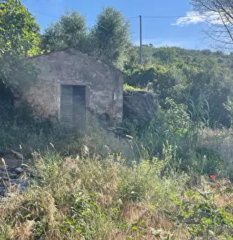 Foto annuncio 4