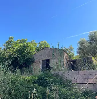 Foto annuncio 6