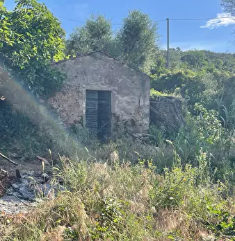 Foto annuncio 8