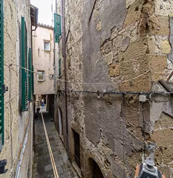 Foto annuncio 12