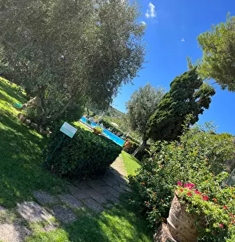 Foto annuncio 32