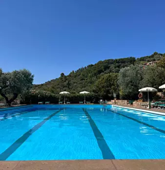 Foto annuncio 35