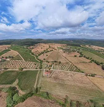 Foto annuncio 3