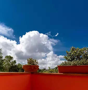 Foto annuncio 25