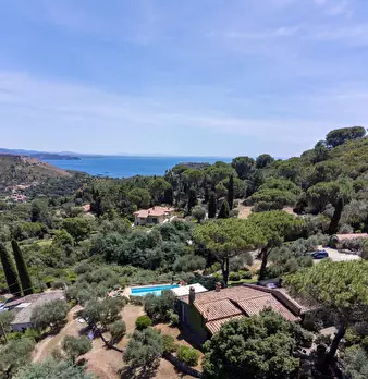 Foto annuncio 76