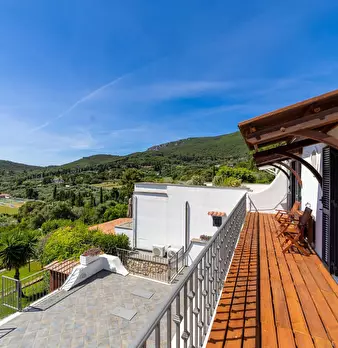 Foto annuncio 30