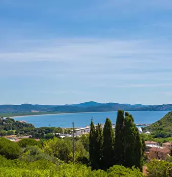 Foto annuncio 51
