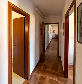 Foto annuncio 12