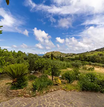 Foto annuncio 2