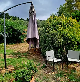Foto annuncio 31