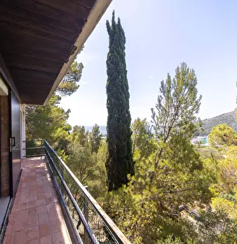 Foto annuncio 22
