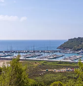 Foto annuncio 29