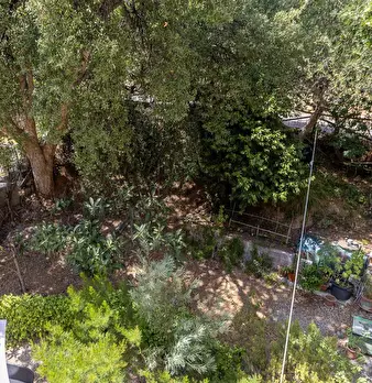 Foto annuncio 26