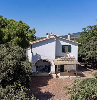Foto annuncio 7