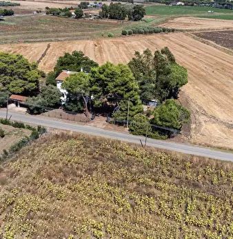 Foto annuncio 8