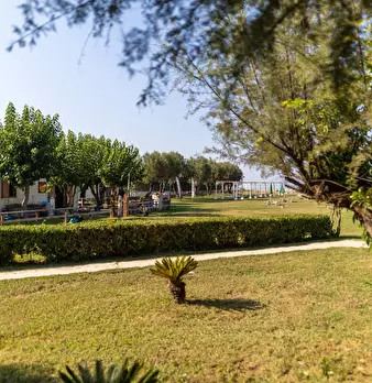 Foto annuncio 39