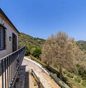 Foto annuncio 31