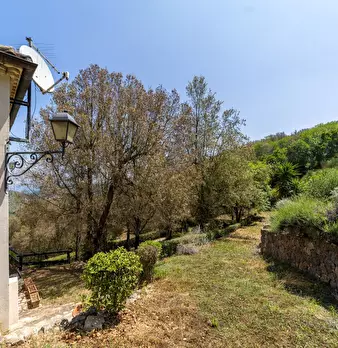 Foto annuncio 35