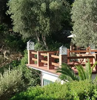 Foto annuncio 46