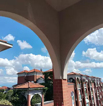 Foto annuncio 43