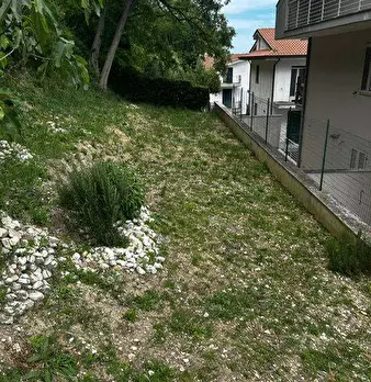 Foto annuncio 12