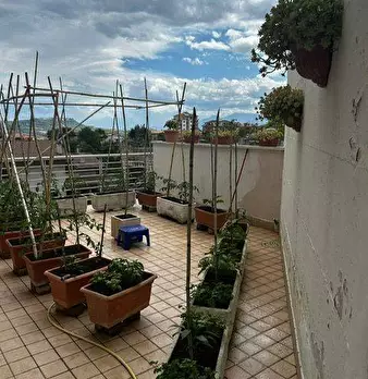 Foto annuncio 14