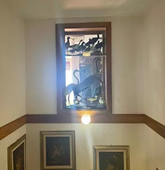 Foto annuncio 11