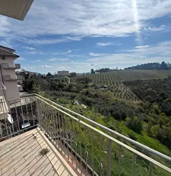 Foto annuncio 10