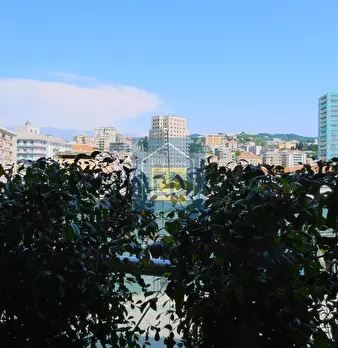 Foto annuncio 16