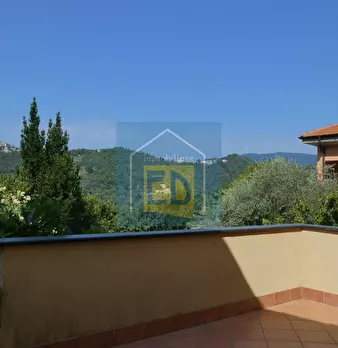 Foto annuncio 31