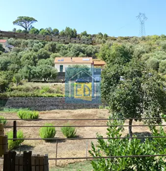 Foto annuncio 16