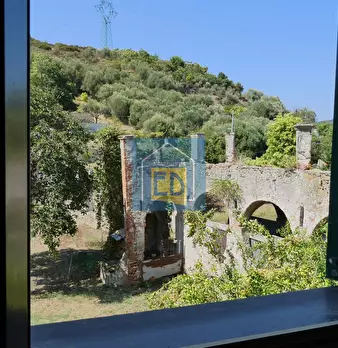 Foto annuncio 22