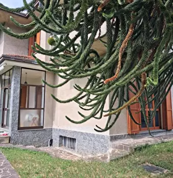Foto annuncio 2