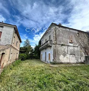 Foto annuncio 6