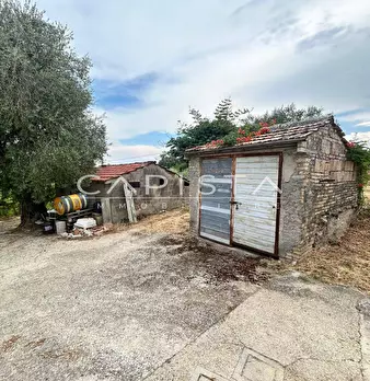 Foto annuncio 2