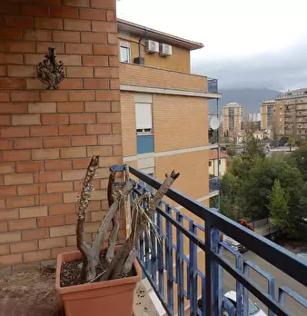 Foto annuncio 14