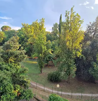 Foto annuncio 23